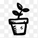 植物 icon