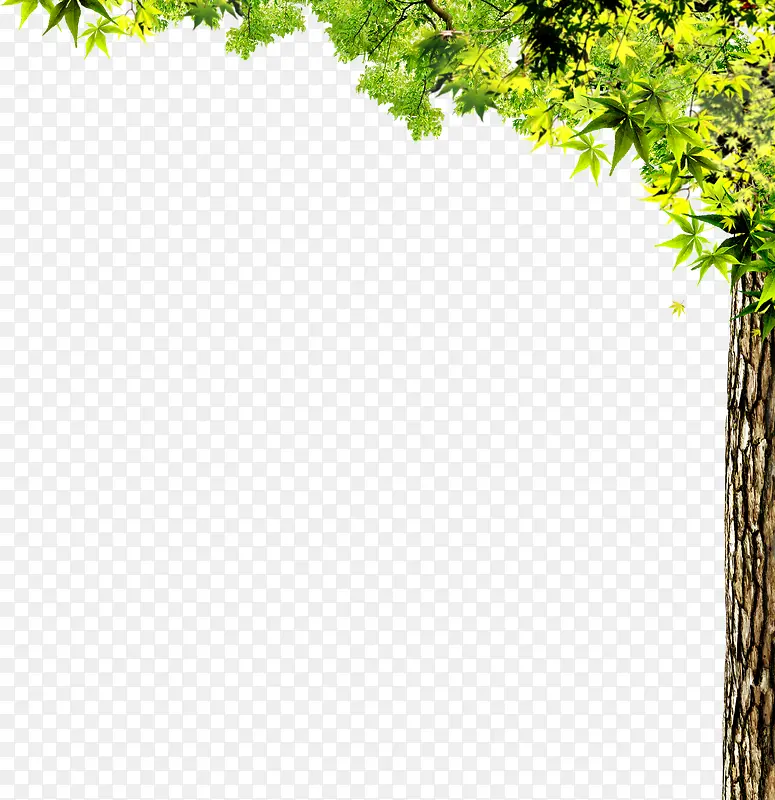 树叶装饰PNG图片素材下载_图片编号10697173-PNG素材网