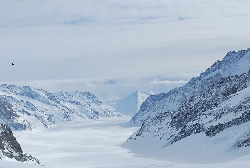 雪山间的大道海报背景