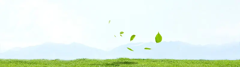 护肤清新背景banner