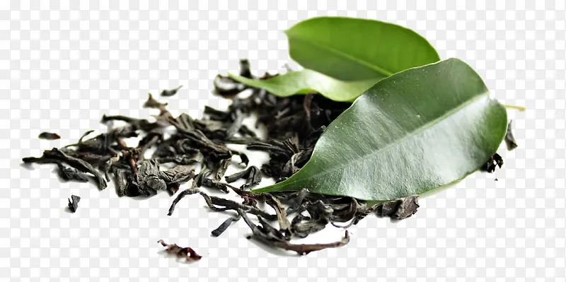 普洱茶叶素材图片