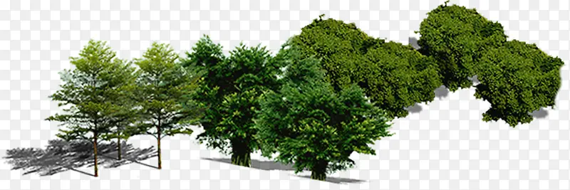 树木 植物 插画 素材4PNG图片素材下载_图片编号10714931-PNG素材网