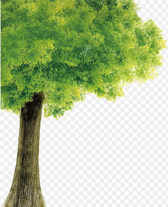 树木 植物 插画 素材PNG图片素材下载_图片编号10715634-PNG素材网