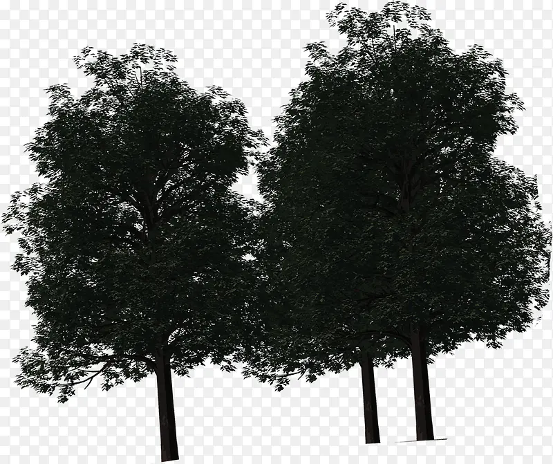 高清创意环境渲染效果树木