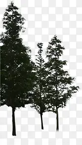 黑色创意环境渲染效果树木