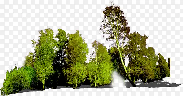高清创意环境渲染效果树木树林