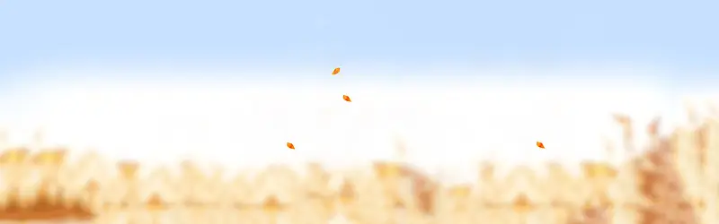 女装