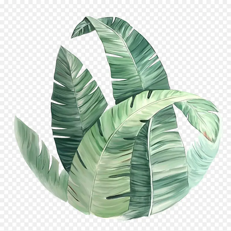 装饰清新植物手绘绿植PNG图片素材下载_图片编号10728580-PNG素材网