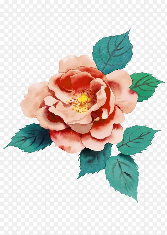 彩绘粉红玫瑰花