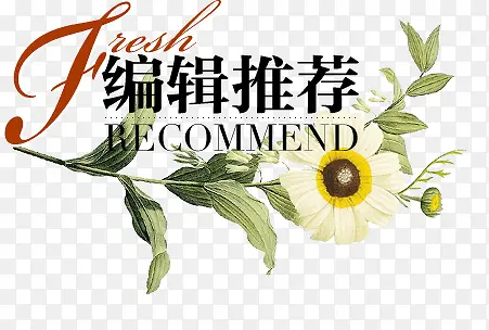 编辑推荐