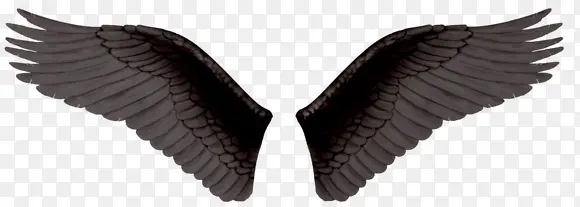 黑色翅膀图片素材