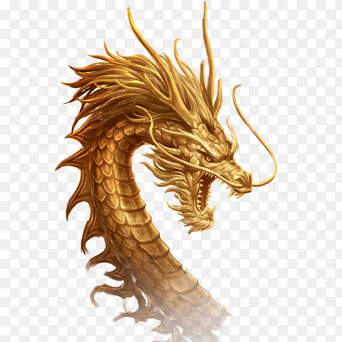 龙头，金色，透明，装饰