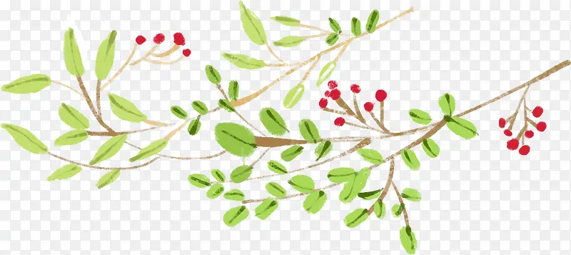 红色果实小花植物