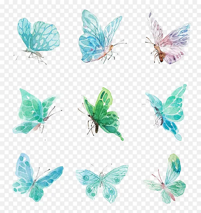 各种各样飞翔的蝴蝶