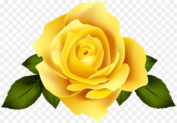 一朵黄色的玫瑰好看