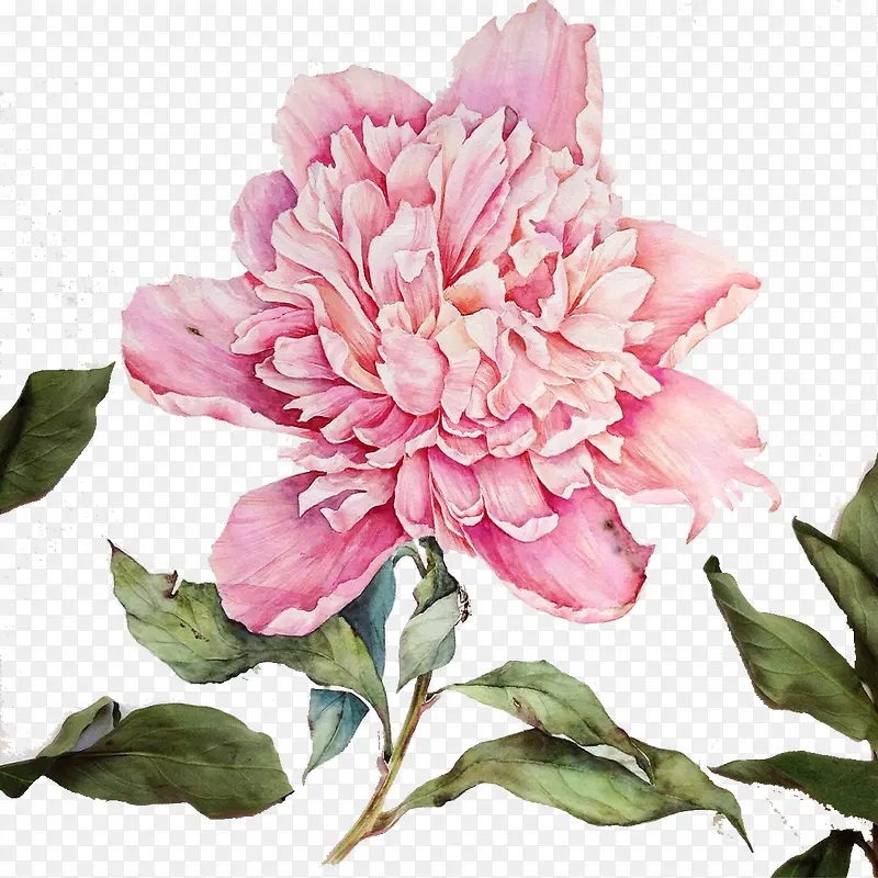 彩绘花卉图案