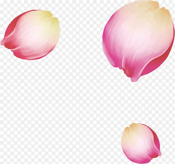 淡雅水彩花瓣设计