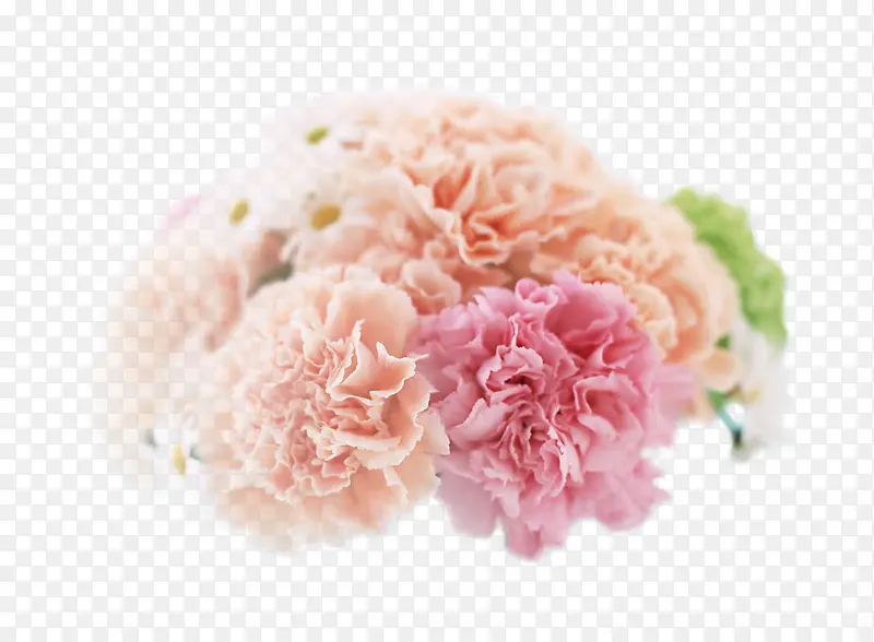 淡雅时尚康乃馨母亲节花朵