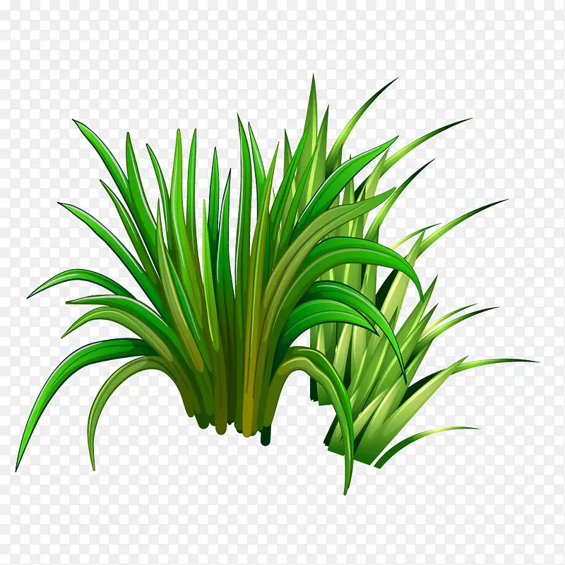矢量绿色植物水草PNG图片素材下载_图片编号10744281-PNG素材网
