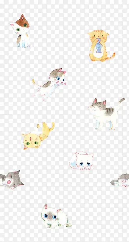 萌萌的小猫咪