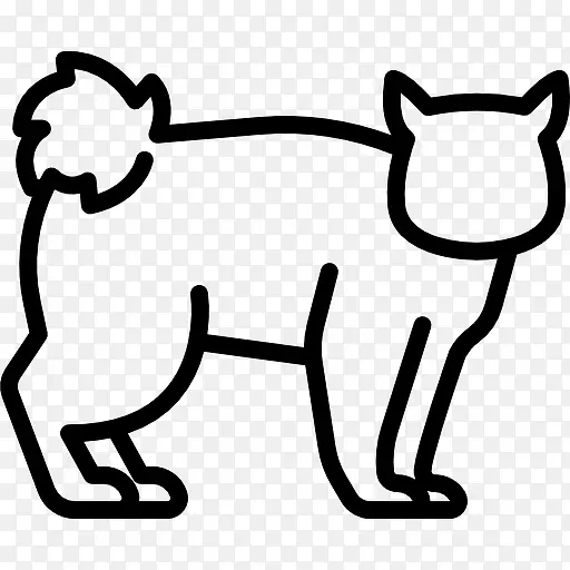 Kuril Bobtail Cat 图标