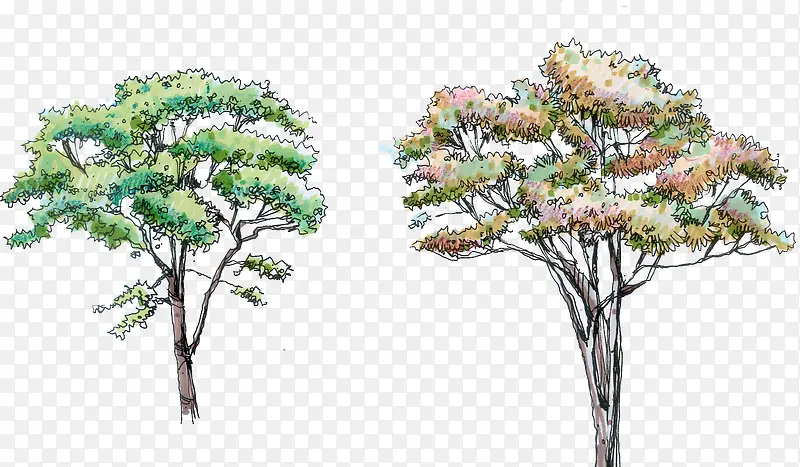 创意合成手绘彩绘树苗树木