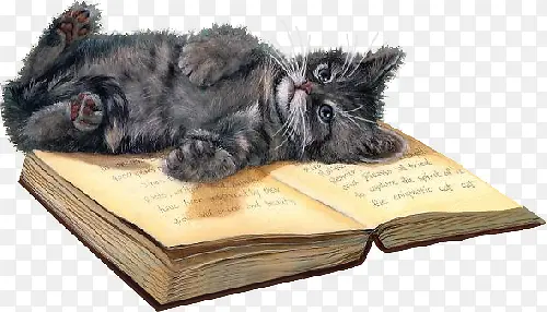 手绘猫咪与书籍素材免抠