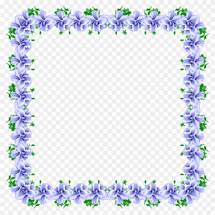 蓝色小花相框