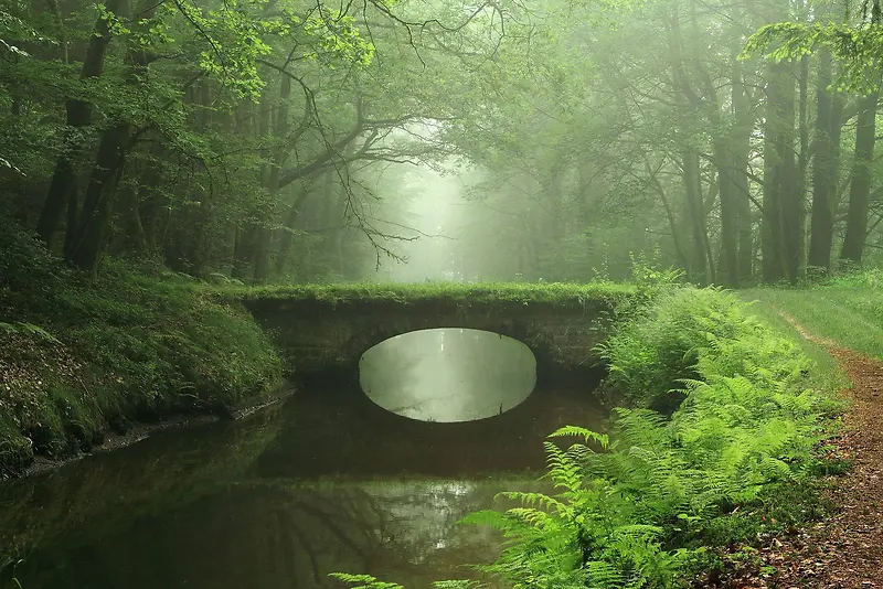 森林草地道路水波