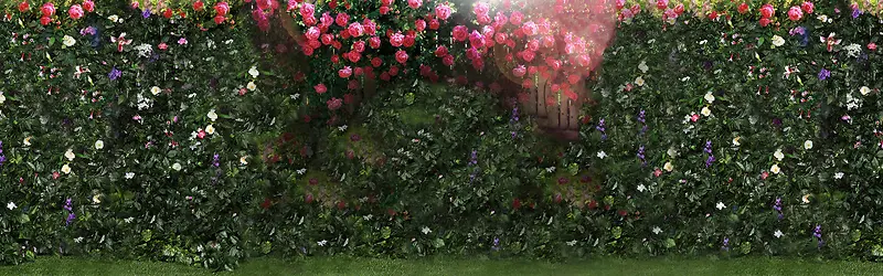 淘宝女装花藤背景banner