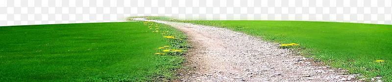 草地 公路 花花草草