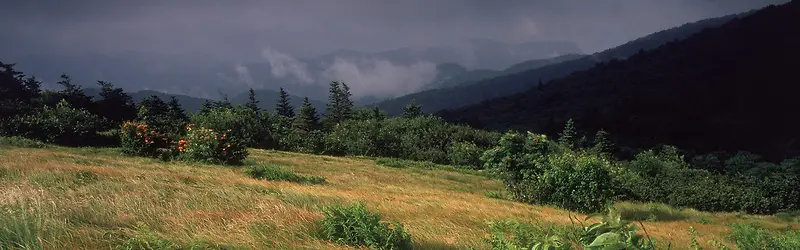 阴雨天风景