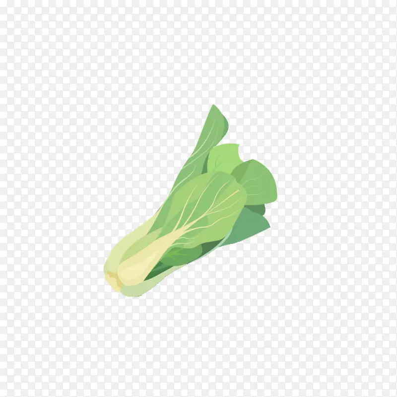 手绘大白菜