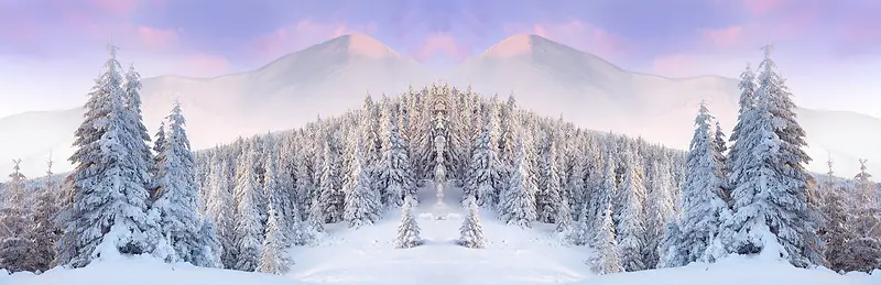 紫色梦幻雪景背景banner