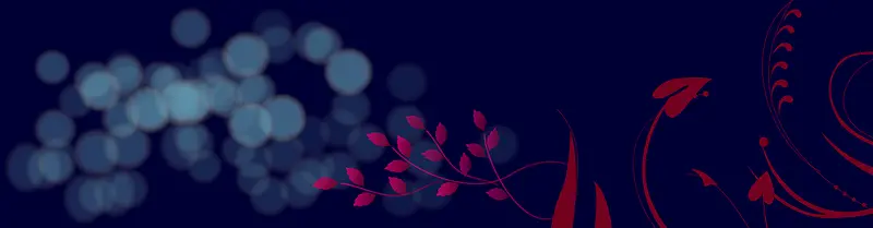 花纹背景banner