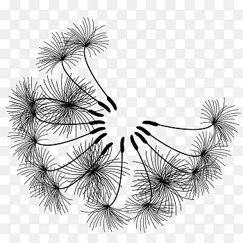 蒲公英黑色图片