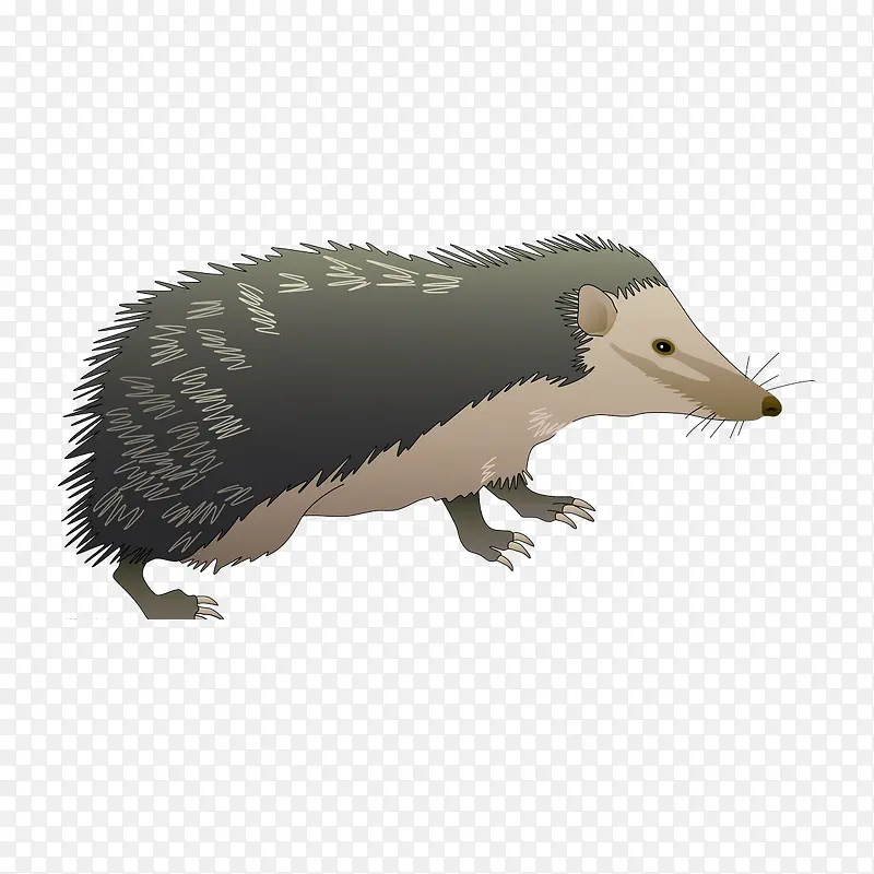 卡通刺猬PNG图片素材下载_图片编号10862929-PNG素材网