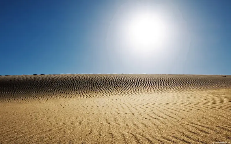 中午的沙漠海报背景