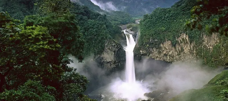 夏季绿色自然背景