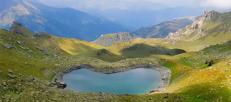 夏季绿色自然背景