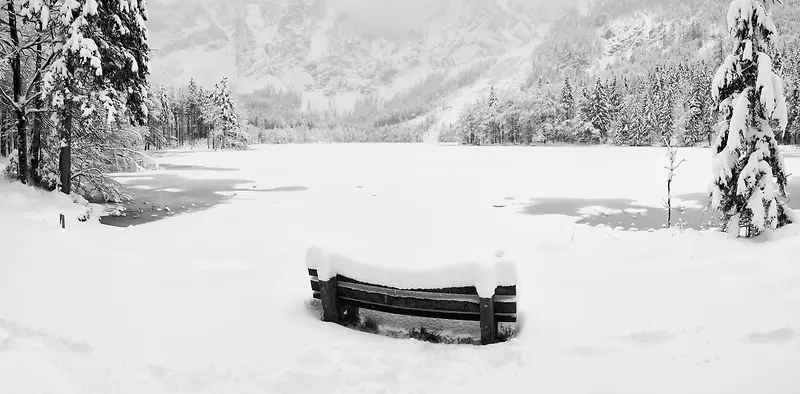 雪景大学覆盖壁纸