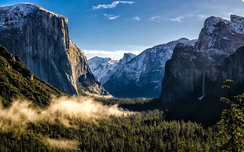 青山麦穗自然美景