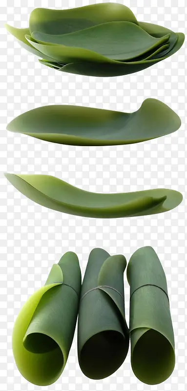 高清质感绿色的草本植物粽叶