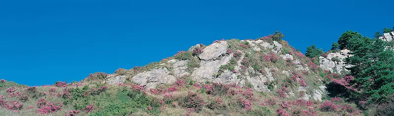 唯美背景摄影风景图