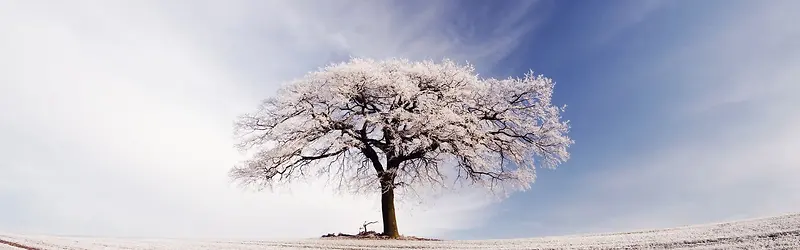 雪景背景图