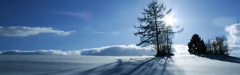 雪景背景图