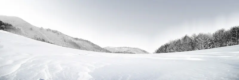 鞋背景