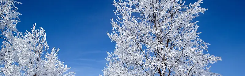 雪景背景图