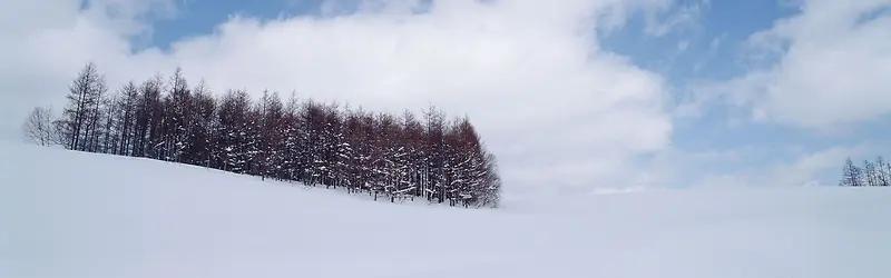 雪景背景图