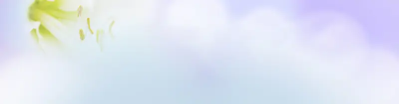 清新背景banner